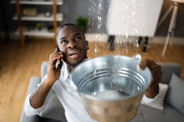 Best Sewage cleanup and water damage restoration  in Beverly Hills, MI