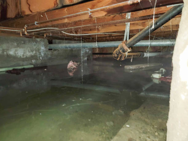 Best Water damage cleanup near me  in Beverly Hills, MI