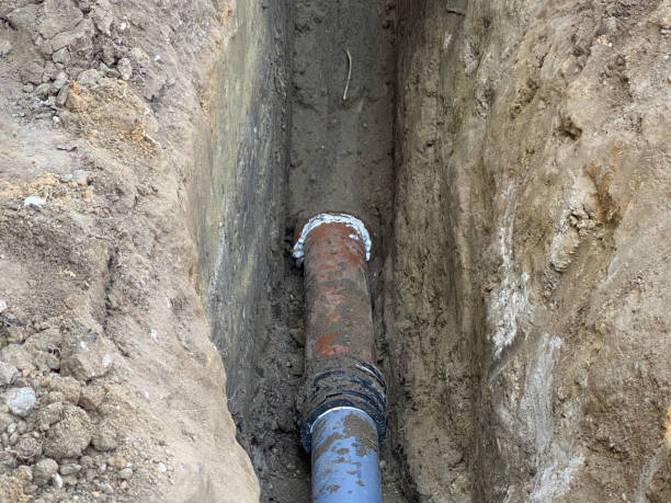 Best Flood damage cleanup  in Beverly Hills, MI