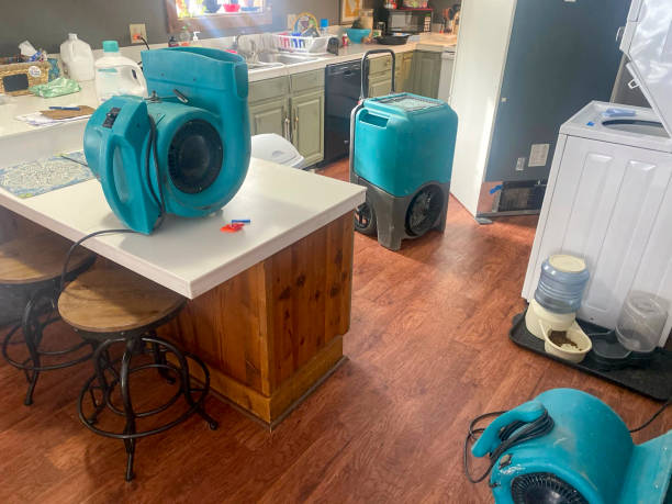 Best Water damage restoration services  in Beverly Hills, MI