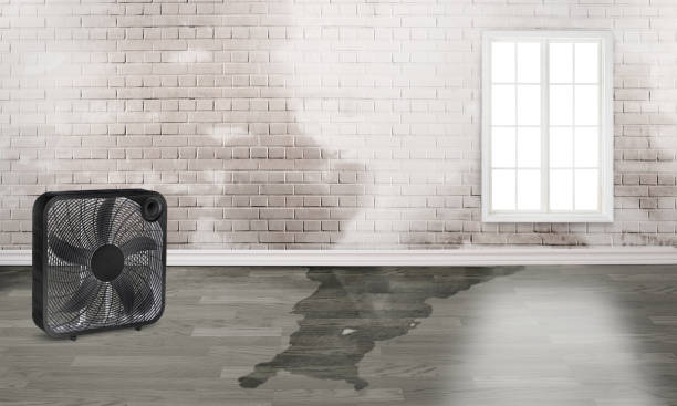 Best Residential water damage restoration  in Beverly Hills, MI