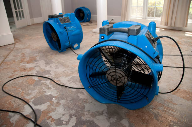 Best 24/7 water damage repair  in Beverly Hills, MI