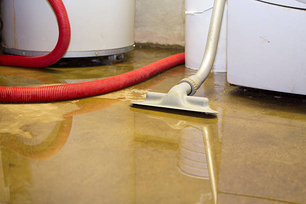 Best Flood damage cleanup  in Beverly Hills, MI