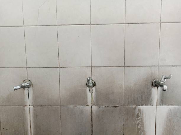 Best Basement water damage restoration  in Beverly Hills, MI