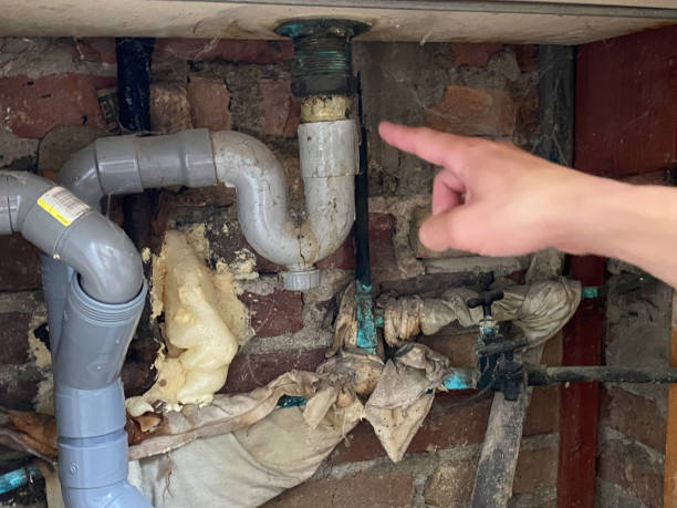 Best Water damage restoration near me  in Beverly Hills, MI
