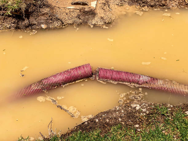 Best 24-hour water damage restoration  in Beverly Hills, MI